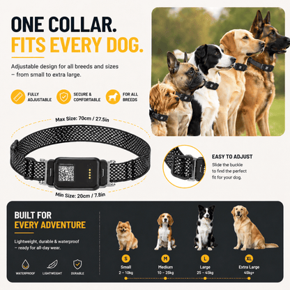 Never Lose Your Dog Again Anywhere in the UK 🐾