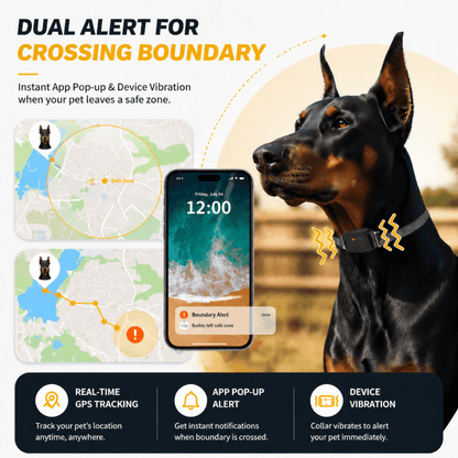 Never Lose Your Dog Again Anywhere in the UK 🐾