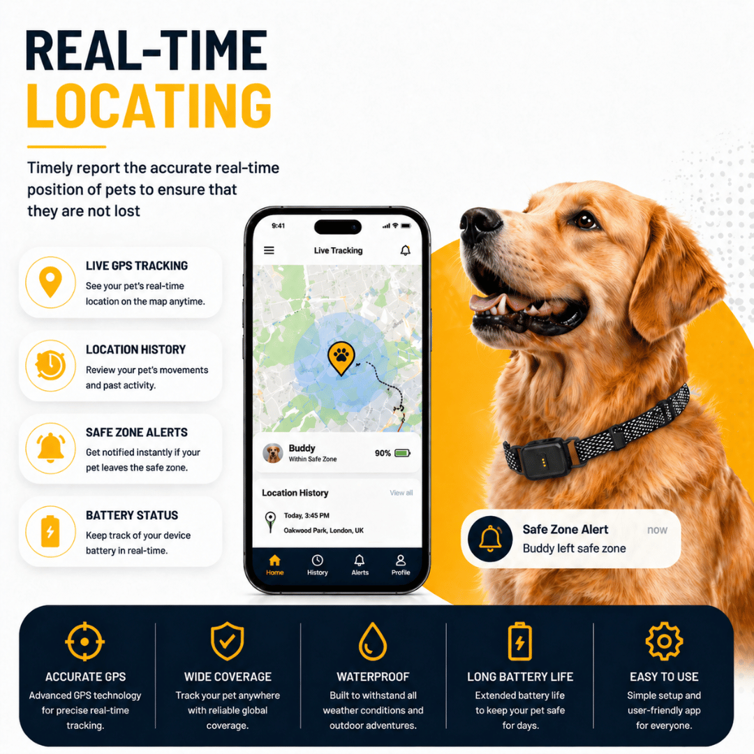 Never Lose Your Dog Again Anywhere in the UK 🐾